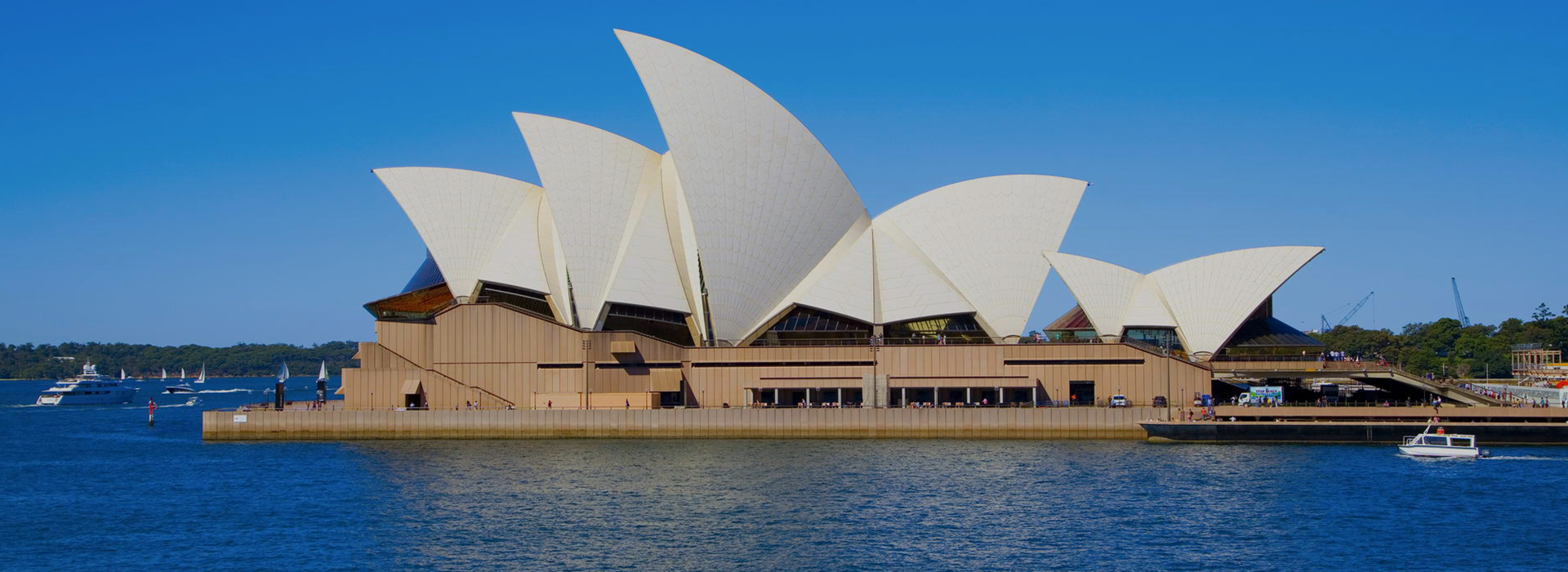 Australian Immigration lawyer